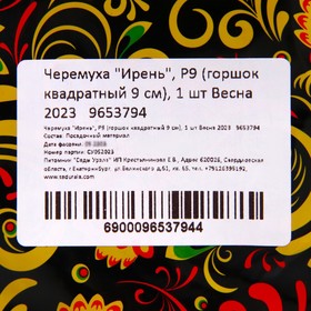 

Черемуха "Ирень", Р9 (горшок квадратный 9 см), 1 шт Весна 2023