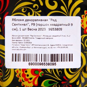 

Яблоня декоративная "Ред Сентинел", Р9 (горшок квадратный 9 см), 1 шт Весна 2023