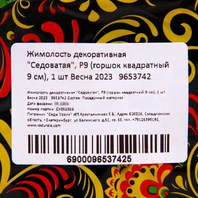

Жимолость декоративная "Седоватая", Р9 (горшок квадратный 9 см), 1 шт Весна 2023