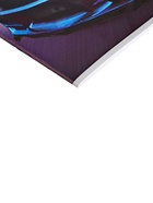 Альбом для рисования Calligrata А4, 20 листов, на скрепке, МИКС - Фото 4