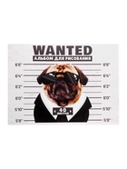 Альбом для рисования Calligrata А4, 40 листов, на скрепке, обложка из мелованного картона, МИКС - Фото 6