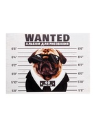 Альбом для рисования Calligrata А4, 40 листов, на скрепке, обложка из мелованного картона, МИКС - Фото 9