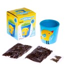 Набор для опытов «Выращиваем травку», птичка, в пакете - фото 24478833