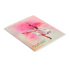 Дневник универсальный для 1-11 классов, 40 листов "Грациозная балерина", мягкая обложка, блок офсет - фото 24413111