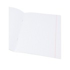 Тетрадь предметная 48 листов в клетку Аниме "Биология", обложка мелованный картон, тиснение холодной фольгой, ламинация Soft-Touch, блок офсет - фото 24544036