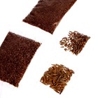 Набор для опытов «Мой милый сад», в пакете - фото 24155617