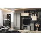 Шкаф распашной двухстворчатый «Клик Мебель. Мадера», 2 ящика, 900×500×2100 мм, цвет графит - Фото 3