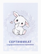 Сертификат о профилактических прививках А6, зайка, 24 страницы - Фото 2