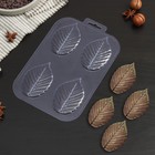 Форма для шоколада и конфет пластиковая «Листья вяза», цвет прозрачный - фото 1073322