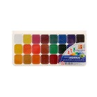 Акварель «Луч. Классика», 24 цвета, без кисти - Фото 2