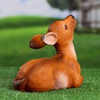 Садовая фигура "Лежащий оленёнок" из полистоуна Хорошие сувениры, 22 см, средняя, коричневая - Фото 3