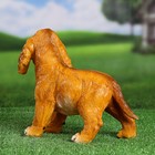 Садовая фигура "Щенок кокер спаниеля рыжий" 30х16х24см - фото 22202340