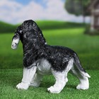 Садовая фигура "Щенок кокер спаниеля черно-белый" 30х16х24см - фото 22202344