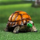 Садовая фигура "Черепаха" средняя, 22х15,5х13см - Фото 1