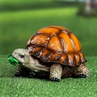 Садовая фигура "Черепаха" средняя, 22х15,5х13см - Фото 2