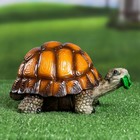 Садовая фигура "Черепаха" средняя, 22х15,5х13см - Фото 4