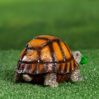 Садовая фигура из полистоуна «Черепаха», 9×10×16 см - Фото 3