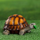 Садовая фигура из полистоуна «Черепаха», 9×10×16 см - Фото 4