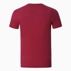 Футболка мужская, цвет бордовый, размер 50 - фото 23484756