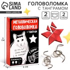 Металлическая головоломка «Опять решить не можешь?», с танграмом - Фото 1