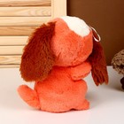 Мягкая игрушка «Собачка», 20 см, цвет красный - фото 4649344