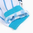 Носки женские MINAKU "Time" цвет белый/голубой, р-р 36-37 (23 см) - фото 22203434