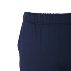 Брюки мужские, цвет тёмно-синий, размер 54 9622266