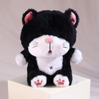 Мягкая игрушка «Котик», 25 см, цвет чёрный - фото 319451191