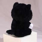 Мягкая игрушка «Котик», 25 см, цвет чёрный - Фото 4