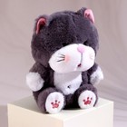 Мягкая игрушка «Котик», 25 см, цвет серый 9483970 - фото 16286271