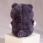 Мягкая игрушка «Котик», 25 см, цвет серый 9483970 - фото 16286272