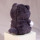 Мягкая игрушка «Котик», 25 см, цвет серый 9483970 - фото 16286273