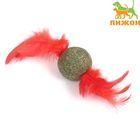 Игрушка для кошек из прессованной кошачьей мяты «Кошачья стрела», 3.2 см - Фото 2