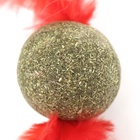 Игрушка для кошек из прессованной кошачьей мяты «Кошачья стрела», 3.2 см - Фото 4