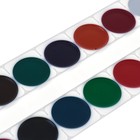 Акварель "Луч" ZOO, 14 цветов, без кисти - Фото 3