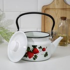 УЦЕНКА Чайник цил деколь, 1.5 л, цвет МИКС (белый) - Фото 2