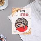 Почтовая карточка "Смотри не лопни" ежик, 11,1х15,5 см 9645312 - фото 10475537