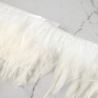 Перья петуха декоративные, на ленте, 10-15 см, 5±0.5 м, белые - Фото 2