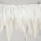 Перья петуха декоративные, на ленте, 10-15 см, 5±0.5 м, белые - Фото 3