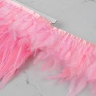 Тесьма с перьями петуха, 10-15 см, 5 ± 0,5 м, цвет розовый - фото 6906883