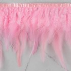 Тесьма с перьями петуха, 10-15 см, 5 ± 0,5 м, цвет розовый - фото 6906884