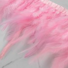 Тесьма с перьями петуха, 10-15 см, 5 ± 0,5 м, цвет розовый - фото 6906885