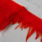 Тесьма с перьями петуха, 10-15 см, 5 ± 0,5 м, цвет красный - Фото 2