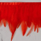 Тесьма с перьями петуха, 10-15 см, 5 ± 0,5 м, цвет красный - Фото 3