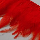 Тесьма с перьями петуха, 10-15 см, 5 ± 0,5 м, цвет красный - Фото 4