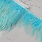 Тесьма с перьями петуха, 10-15 см, 5 ± 0,5 м, цвет голубой - фото 6906893