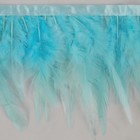 Тесьма с перьями петуха, 10-15 см, 5 ± 0,5 м, цвет голубой - фото 6906894