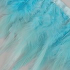 Тесьма с перьями петуха, 10-15 см, 5 ± 0,5 м, цвет голубой - фото 6906895