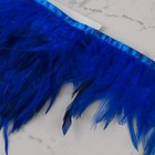 Тесьма с перьями петуха, 10-15 см, 5 ± 0,5 м, цвет синий - фото 7808227