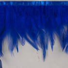 Тесьма с перьями петуха, 10-15 см, 5 ± 0,5 м, цвет синий - фото 7808228